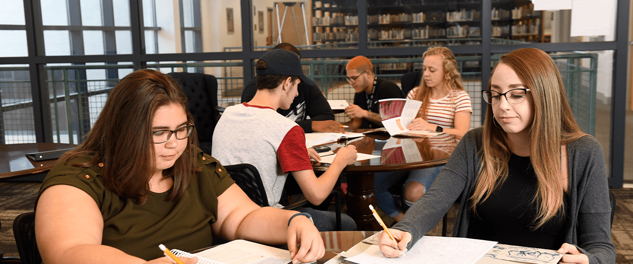 Students studying in the library at Thaddeus Stevens College of Technology