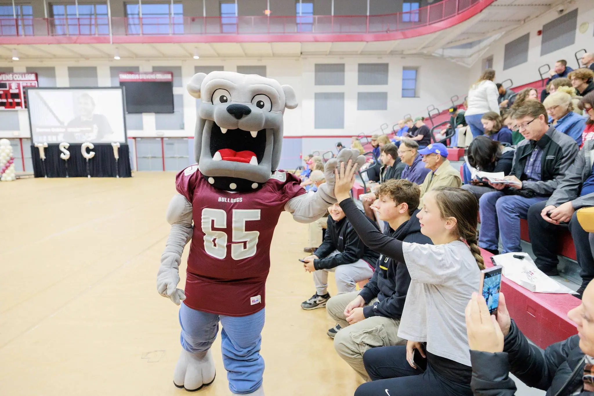 Champ the Bulldog giving high fives to TSCT students sitting in the stands at the Multipurpose Activity Center (MAC)