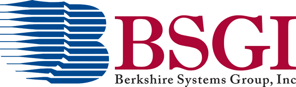BSGI - Berkshire Systems Group, Inc