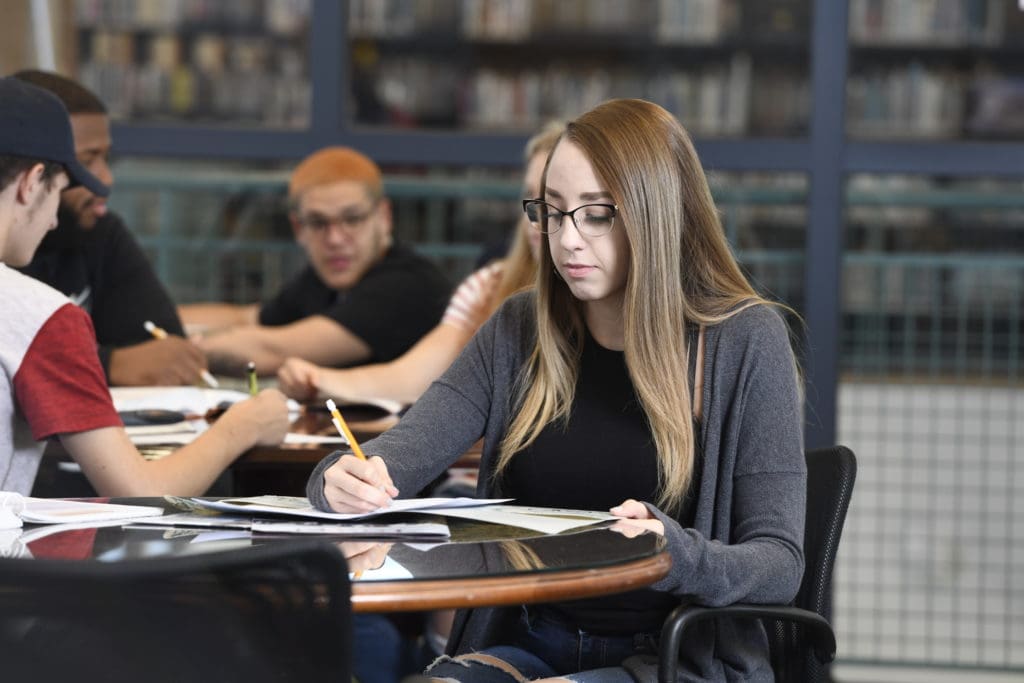 Student studying in the Learning Resource Center on Main Campus